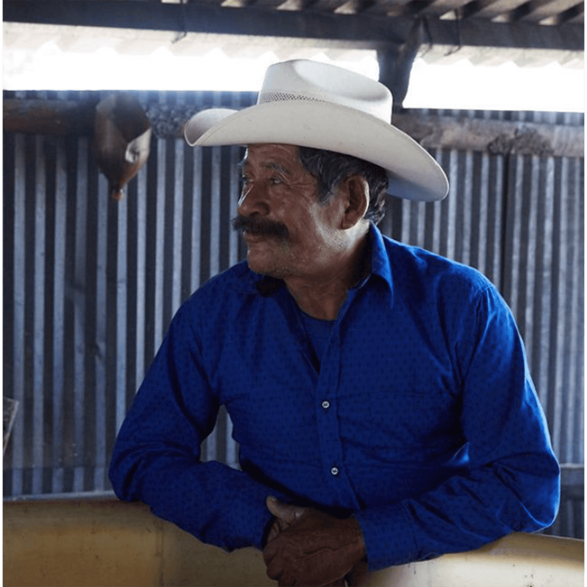 Man in blue shirt and white hat standing in a mezcal distillery, reflecting on traditional mezcal production.