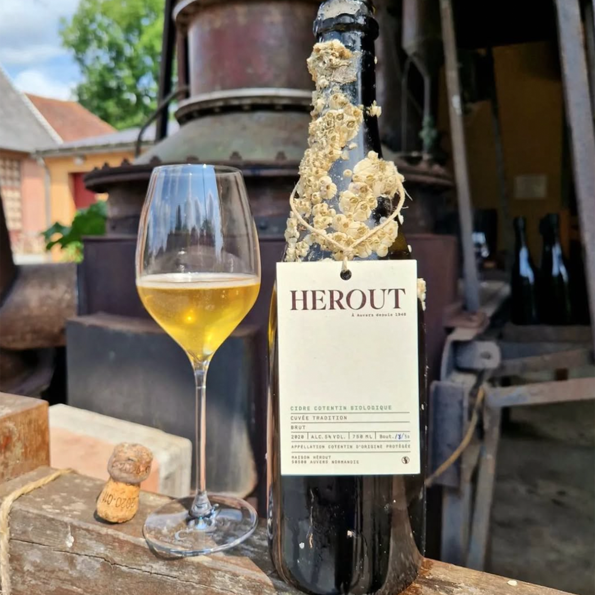 Herout Grande Cuvée Tradition Brut cider bottle with a glass of cider, showcasing bright gold color and frothy bubbles.