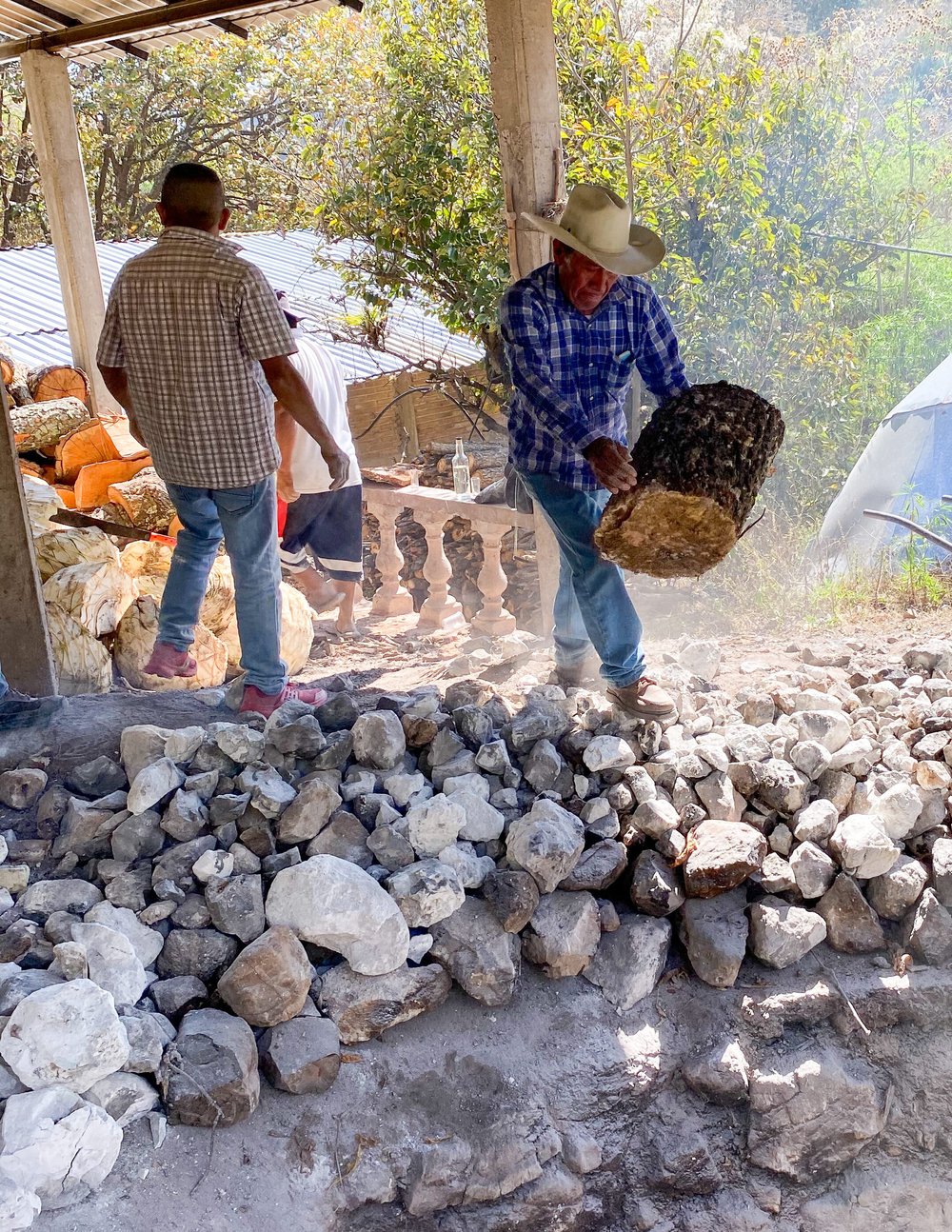 Mal Bien Espadín Refugio Calzada Hernández