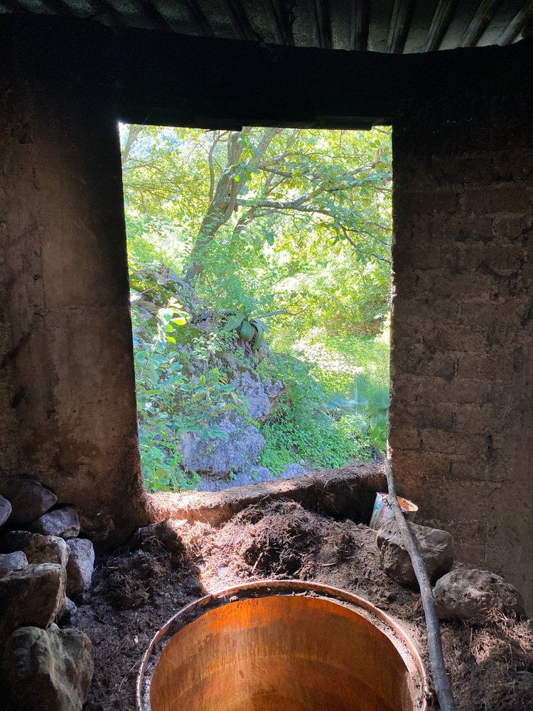 Mal Bien Espadín Refugio Calzada Hernández