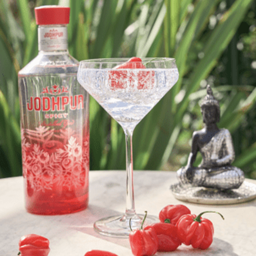 Jodhpur Spicy Gin