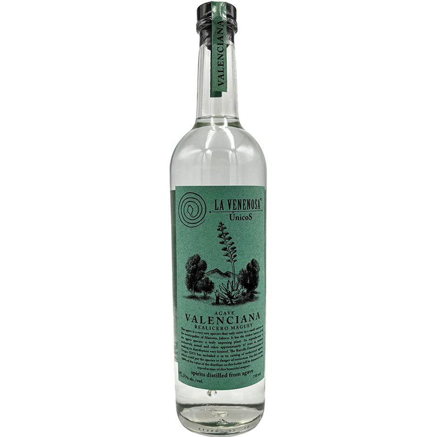 La Venenosa Raicilla Valenciana