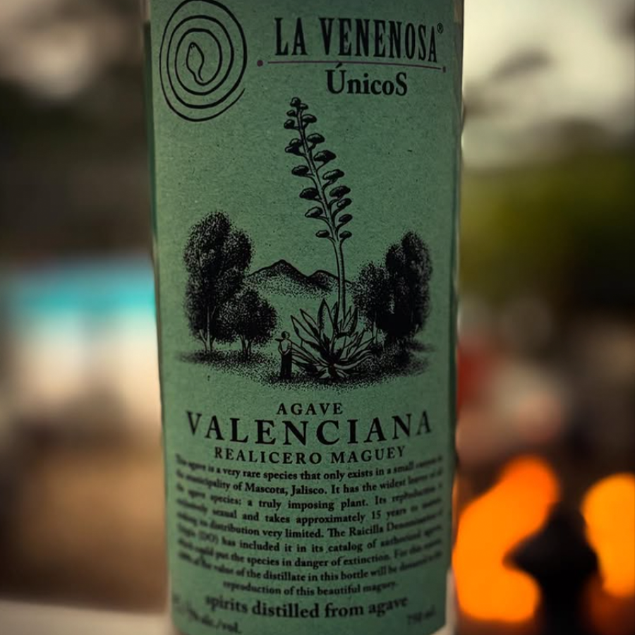 La Venenosa Raicilla Valenciana