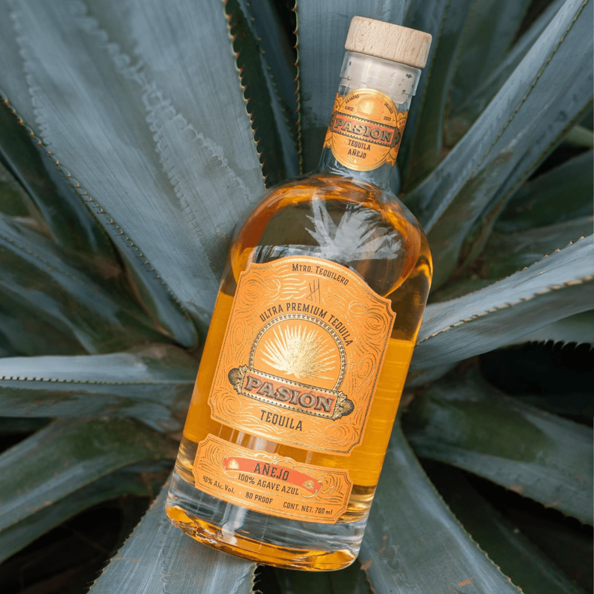 Pasión Añejo Tequila bottle surrounded by blue agave, showcasing its rich amber color and artisanal quality.