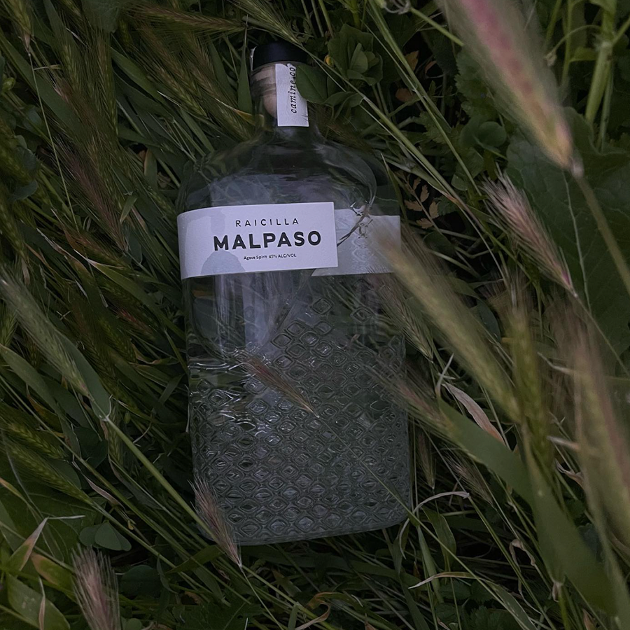 Raicilla Malpaso