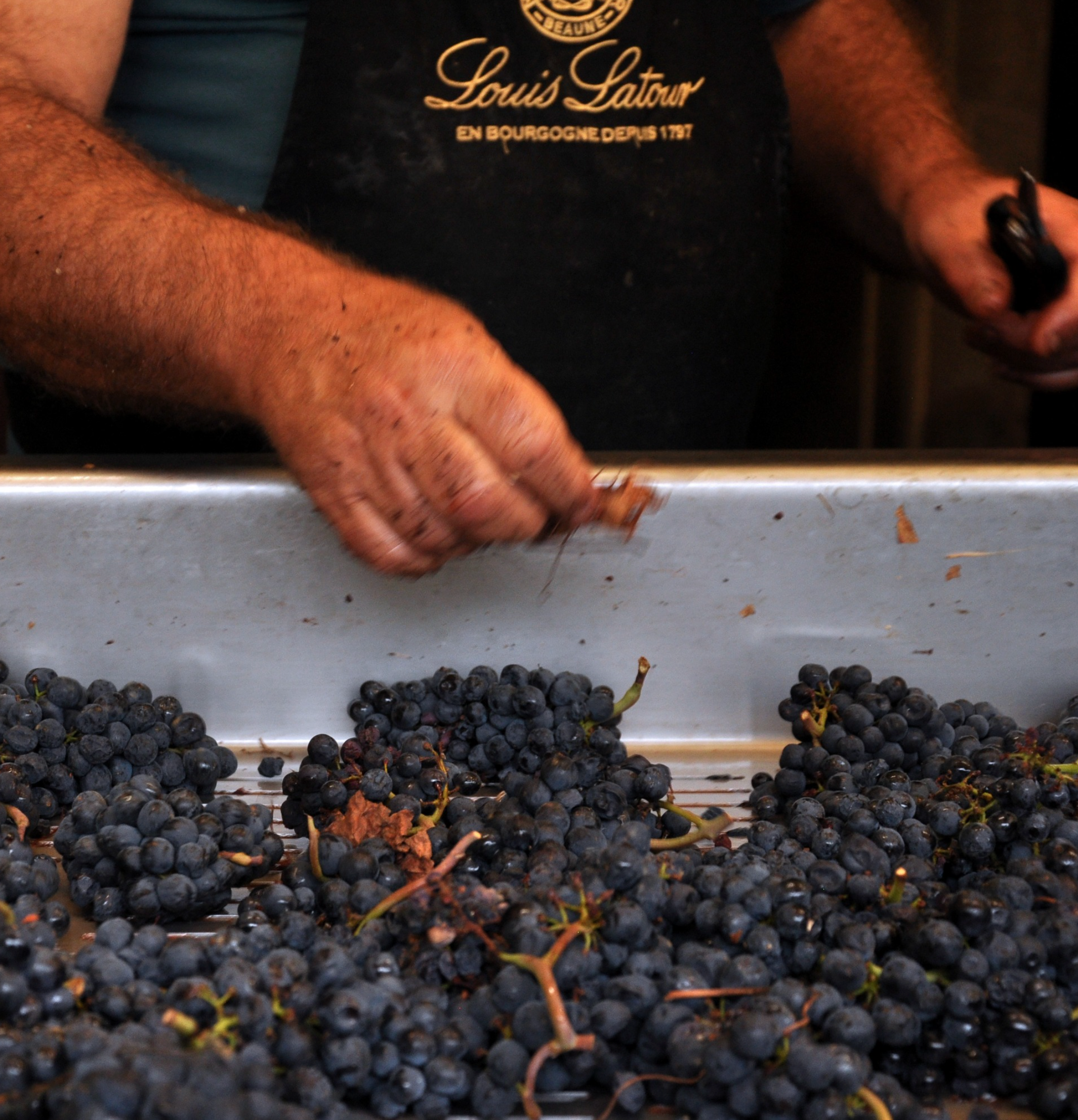 Louis Latour Beaune Vignes Franches 2017