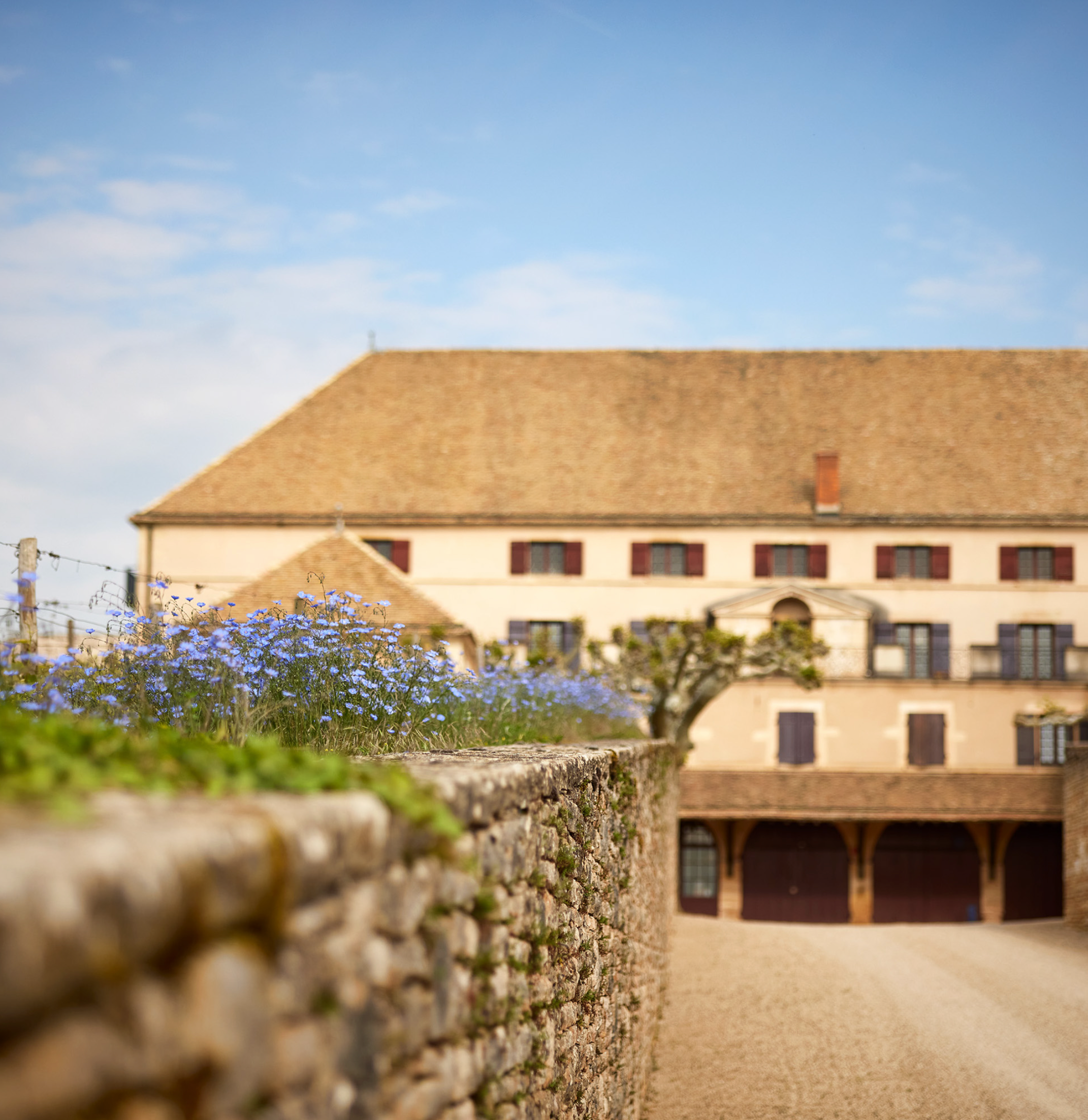 Louis Latour Volnay 2019