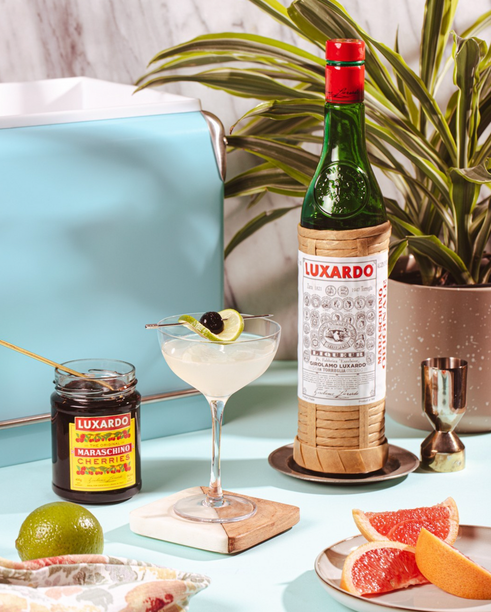 Luxardo Maraschino Cherries Deliver to your Door with Alcohol!