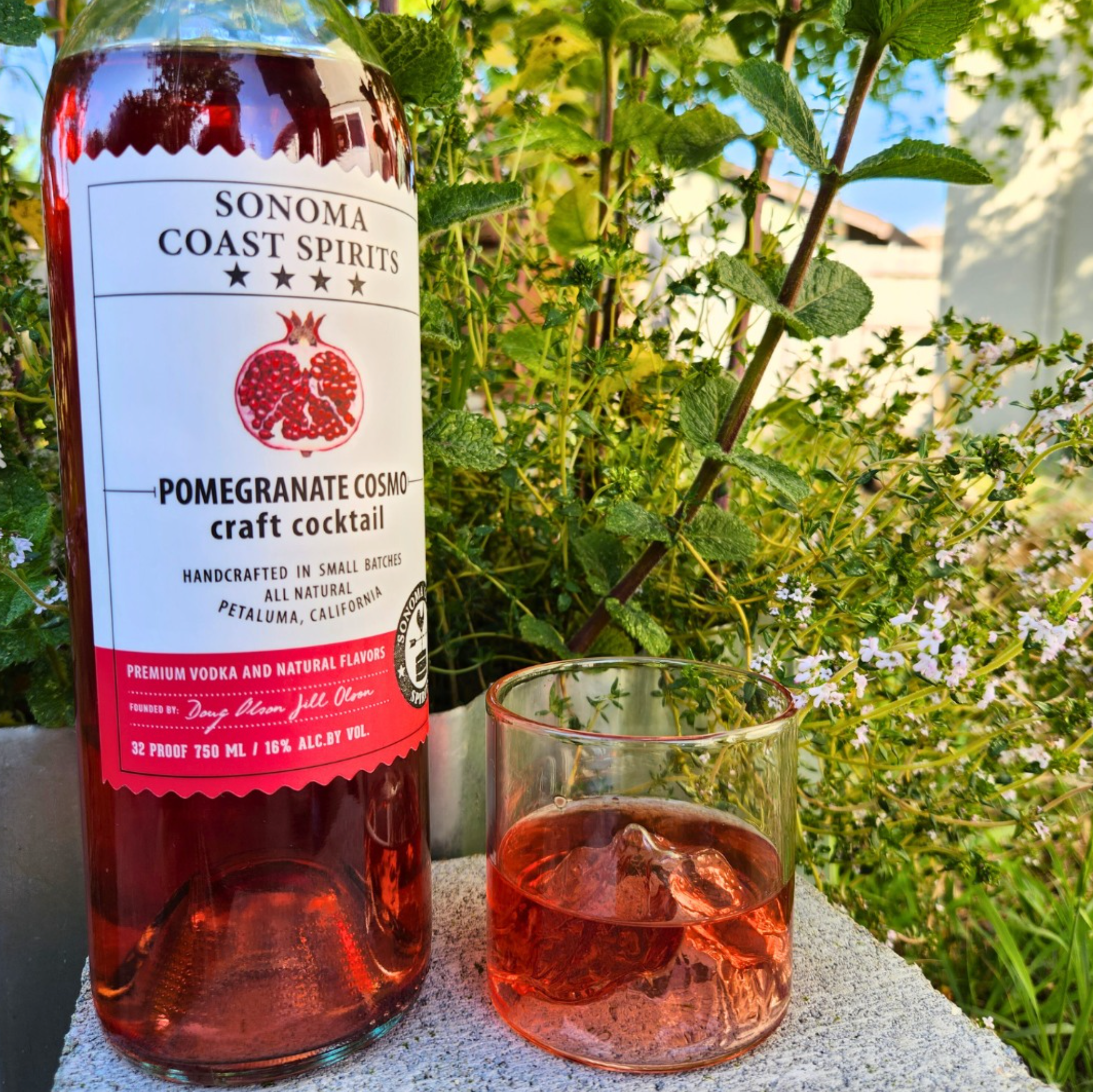 Sonoma Coast Pomegranate Cosmo Cocktail (Ready to Serve)