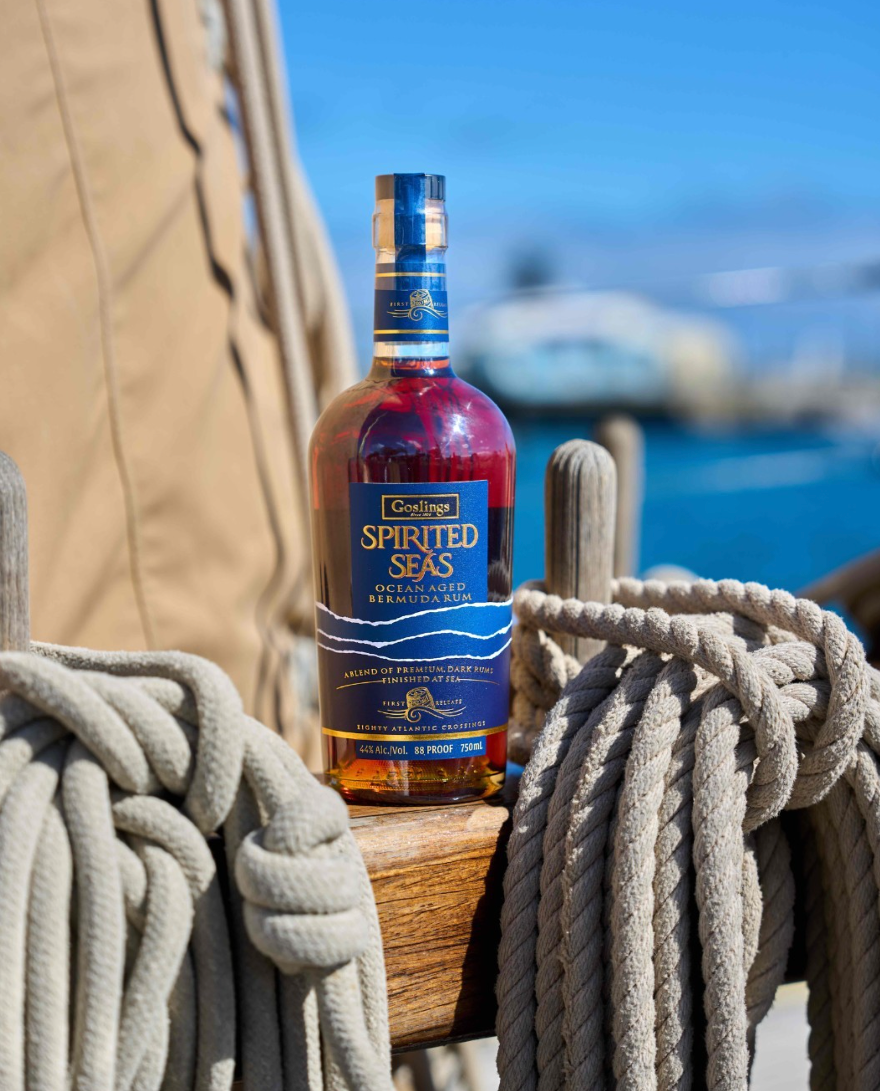 Gosling's Spirited Seas Ocean Aged Bermuda Rum