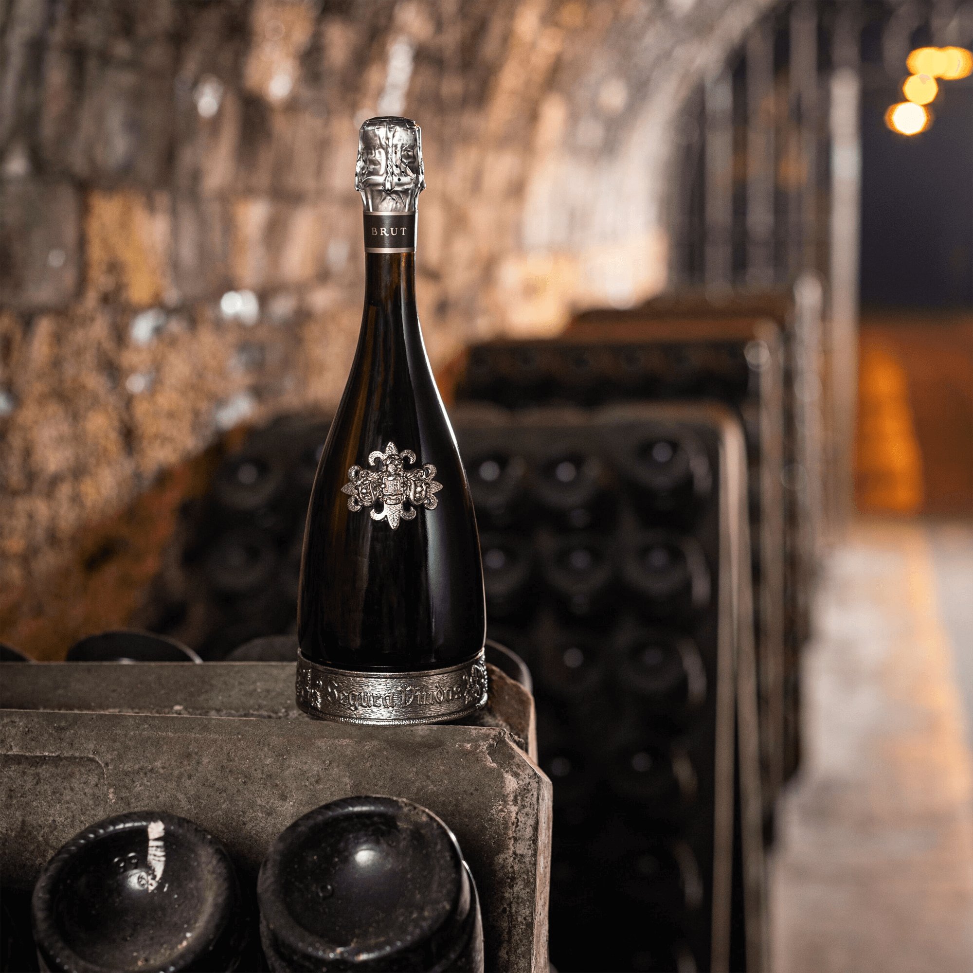 Segura Viudas Reserva Heredad Brut bottle resting in a cellar, showcasing its elegance and craftsmanship in sparkling wine.