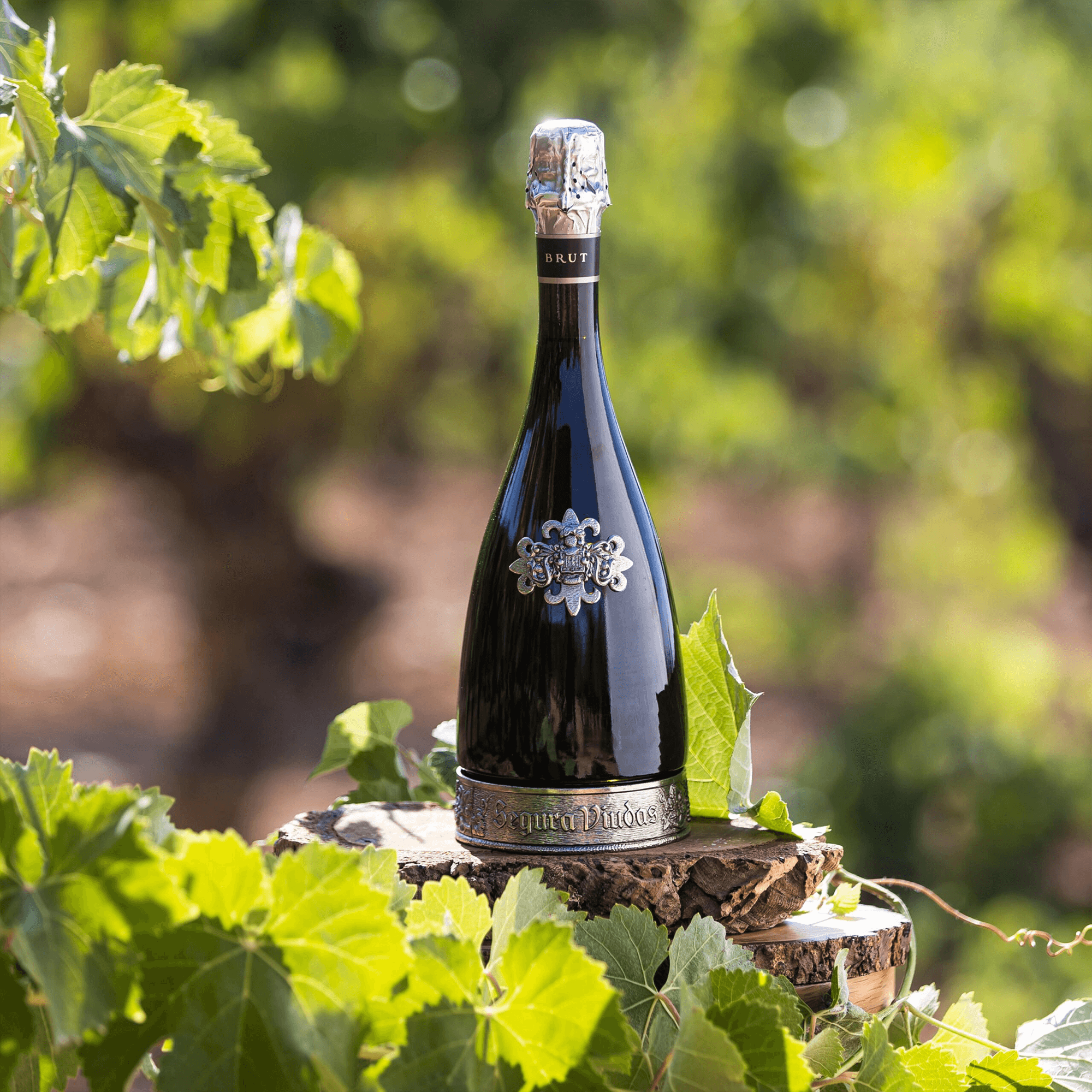 Segura Viudas Reserva Heredad Brut sparkling wine bottle displayed among lush green vineyard leaves.