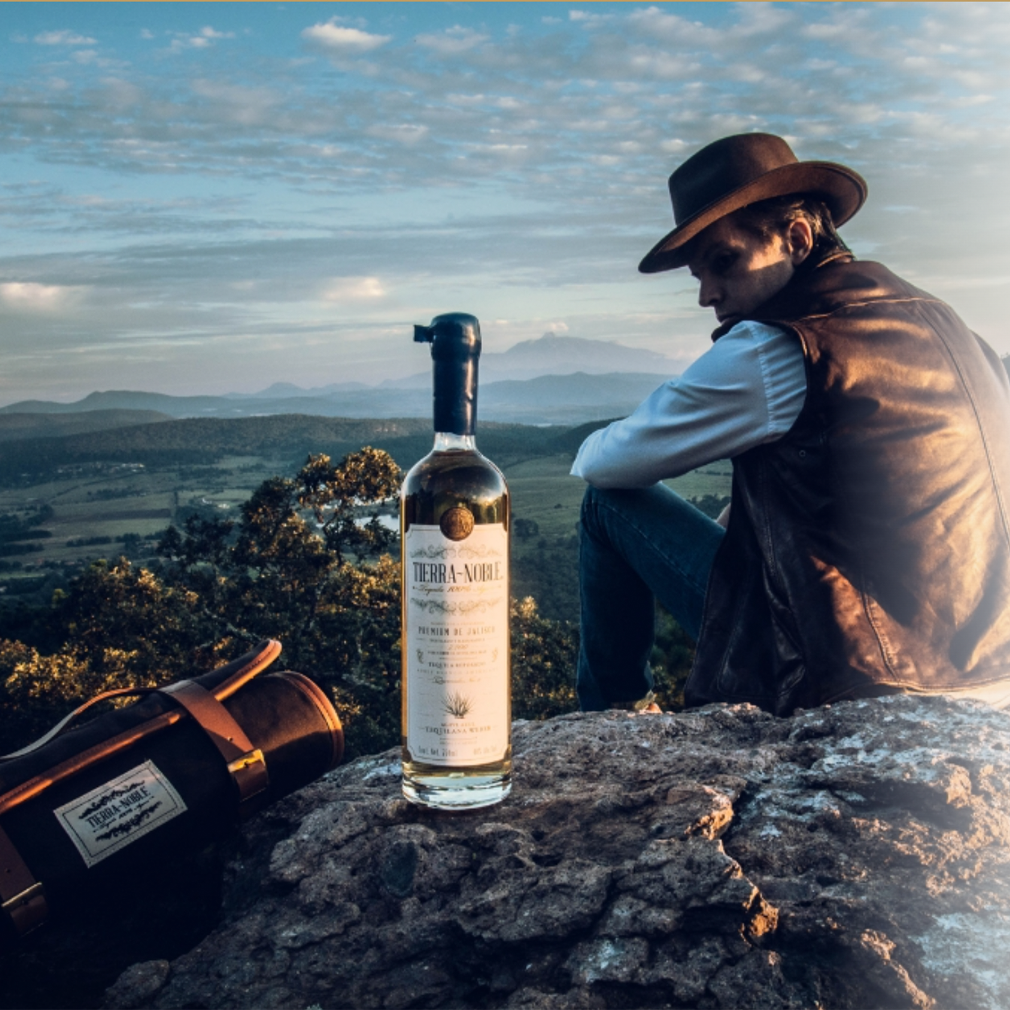 Tequila Tierra Noble Cristalino 750 Ml Tierra Noble Cristalino | Bodega Aurrera En Línea