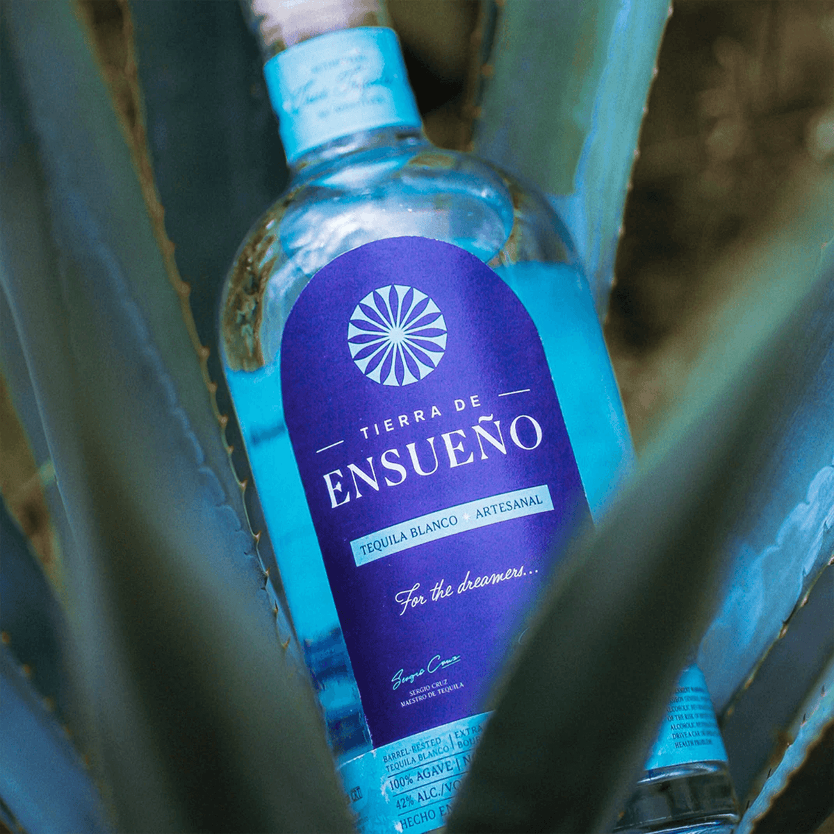 Tierra de Ensueño Blanco Tequila bottle nestled in agave plants, showcasing artisanal craftsmanship and signature blue label.