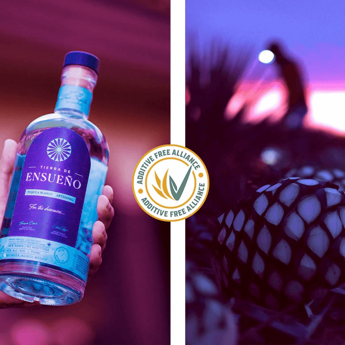 Tierra de Ensueño Blanco Tequila bottle with agave and sunset background, showcasing additive-free artisanal craftsmanship.