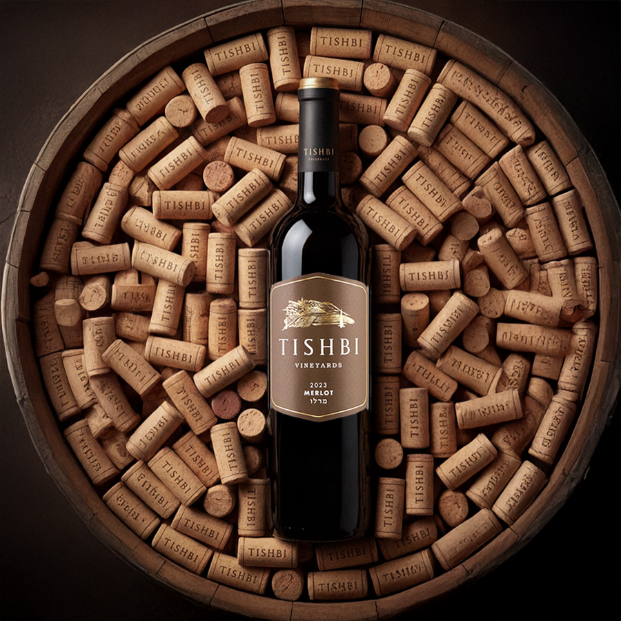Tishbi Merlot