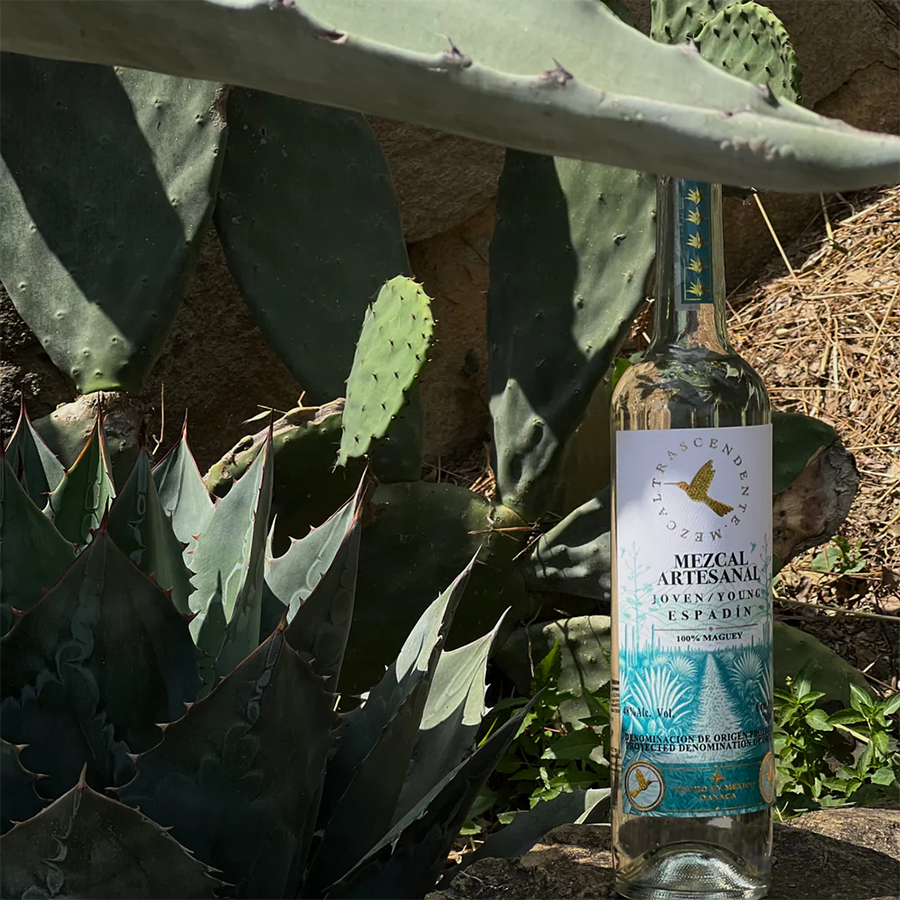 Trascendente Espadin Selecto Mezcal 700ml