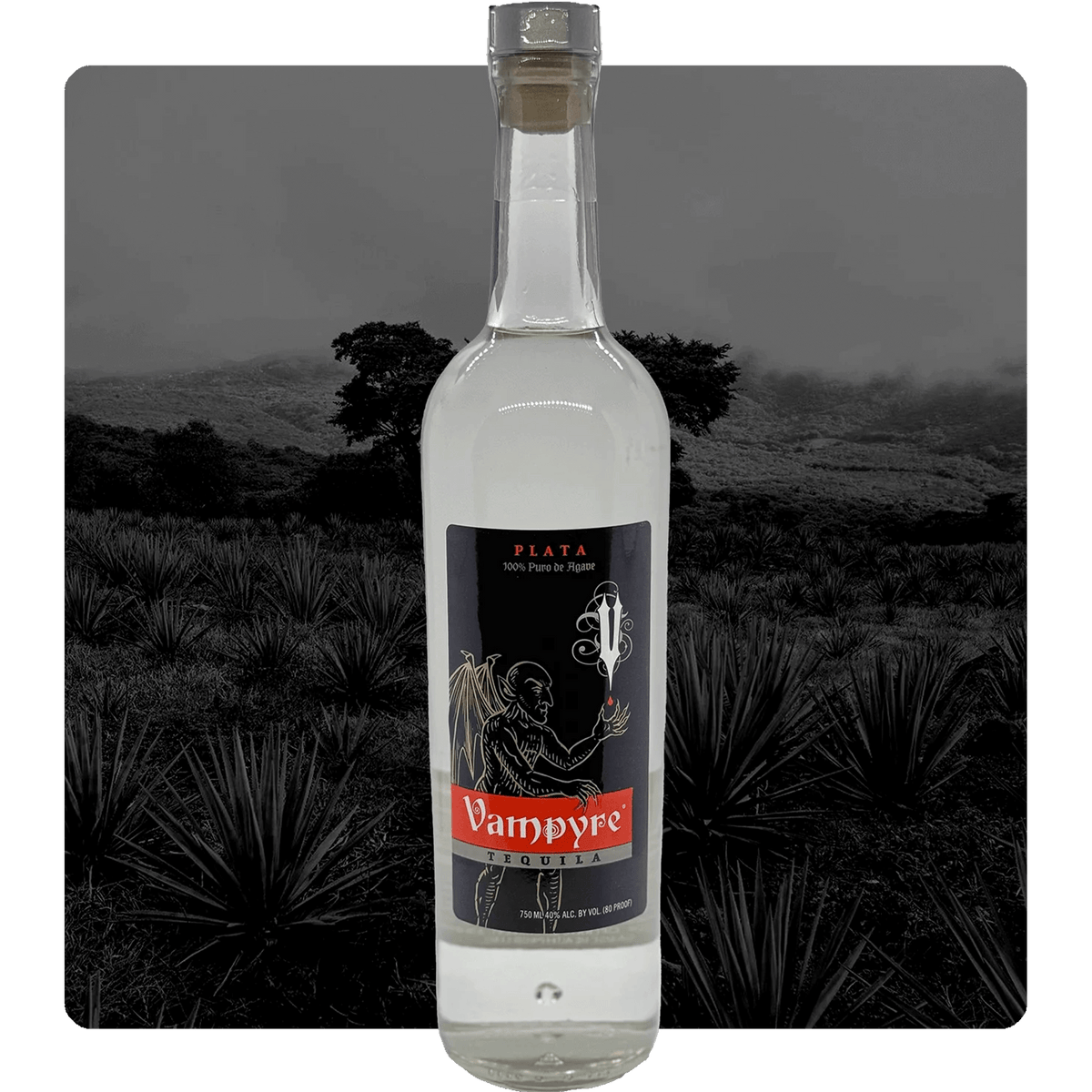 Vampyre Plata Tequila bottle showcasing 100% blue agave with a backdrop of agave fields.