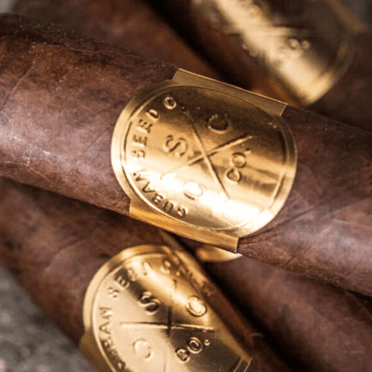 Close-up of Cuban Seed Cigar Co. premium cigars with distinctive gold bands, showcasing quality craftsmanship.