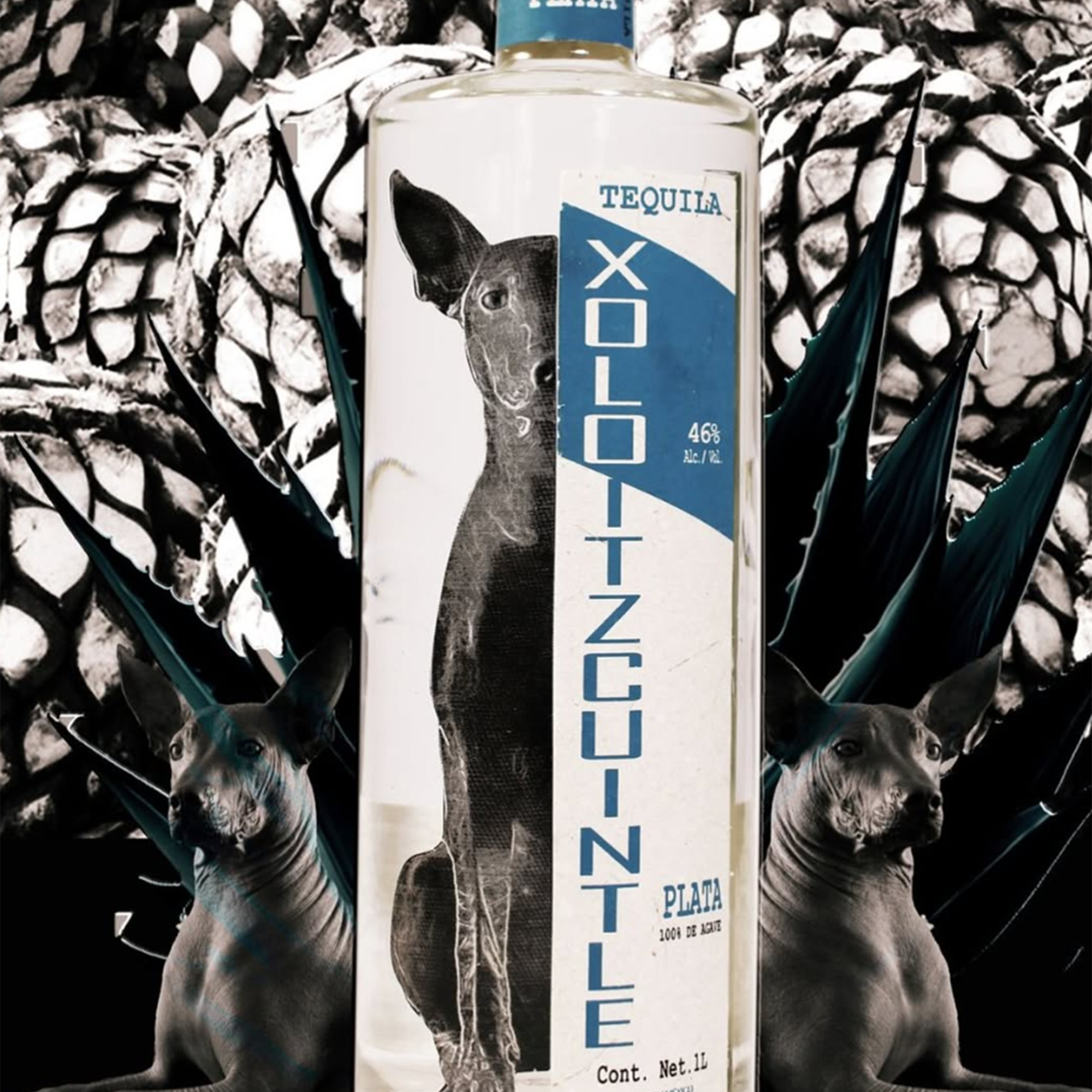 Xoloitzcuintle Plata Tequila 1L