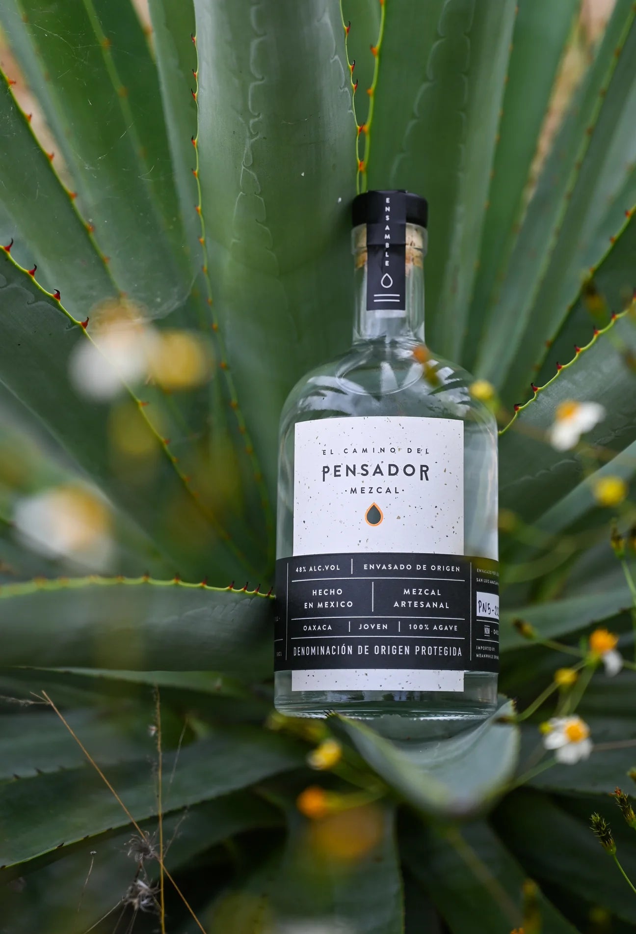 El Camino Del Pensador Joven Ensamble Mezcal