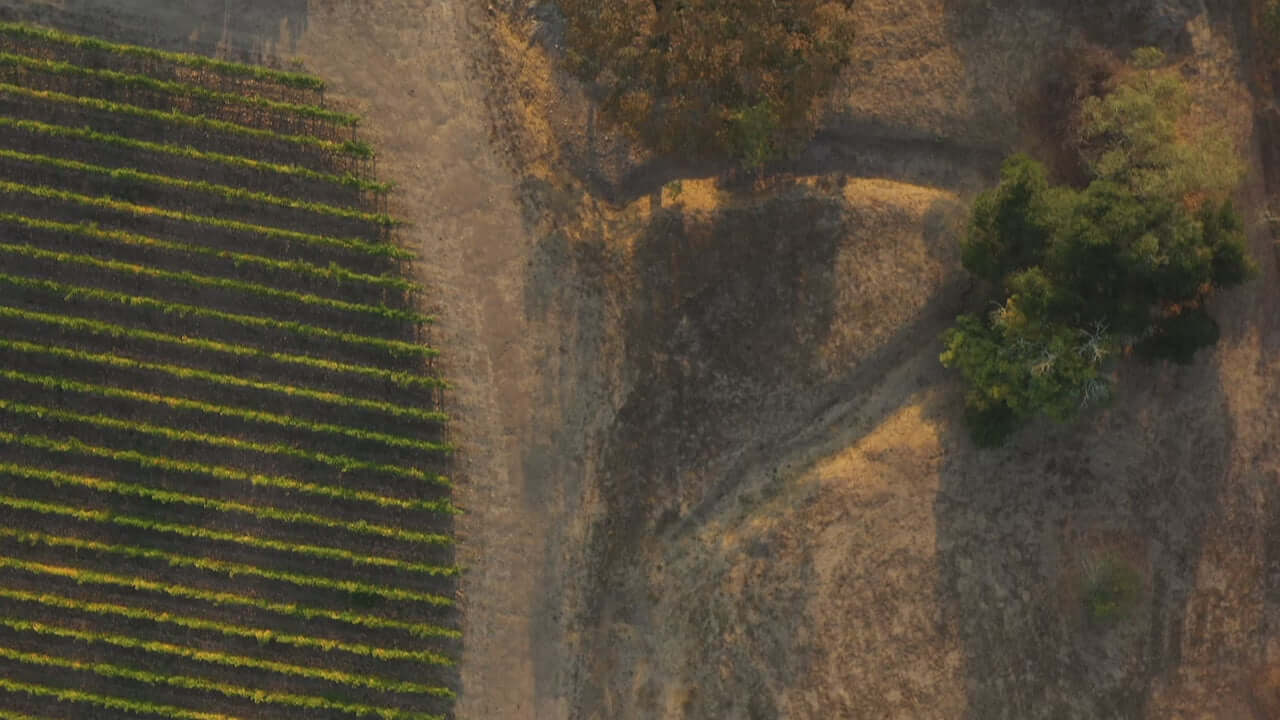 Aerial view of a Napa Valley vineyard showcasing rows of grapevines and surrounding landscape.