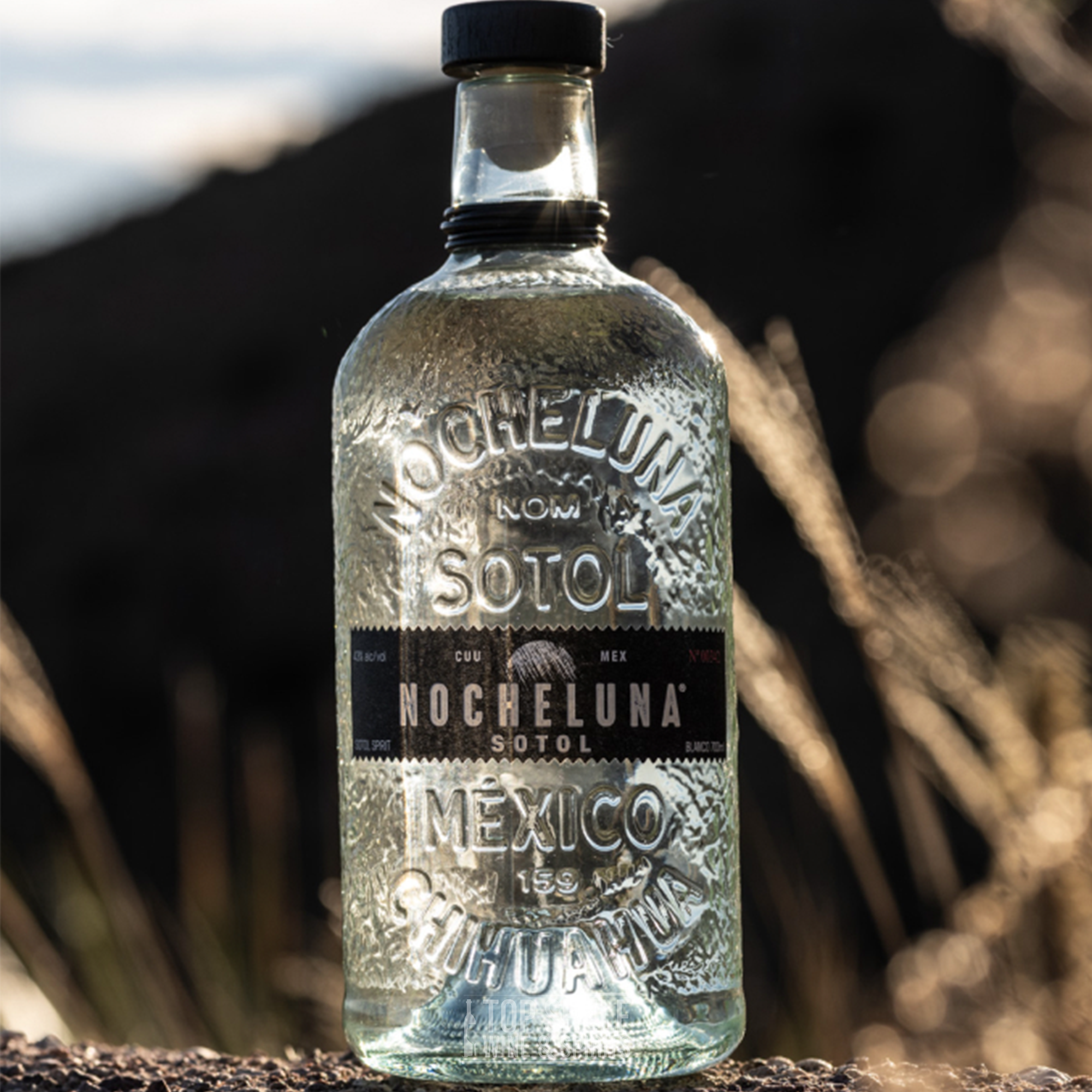 Nocheluna Sotol Blanco Spirit