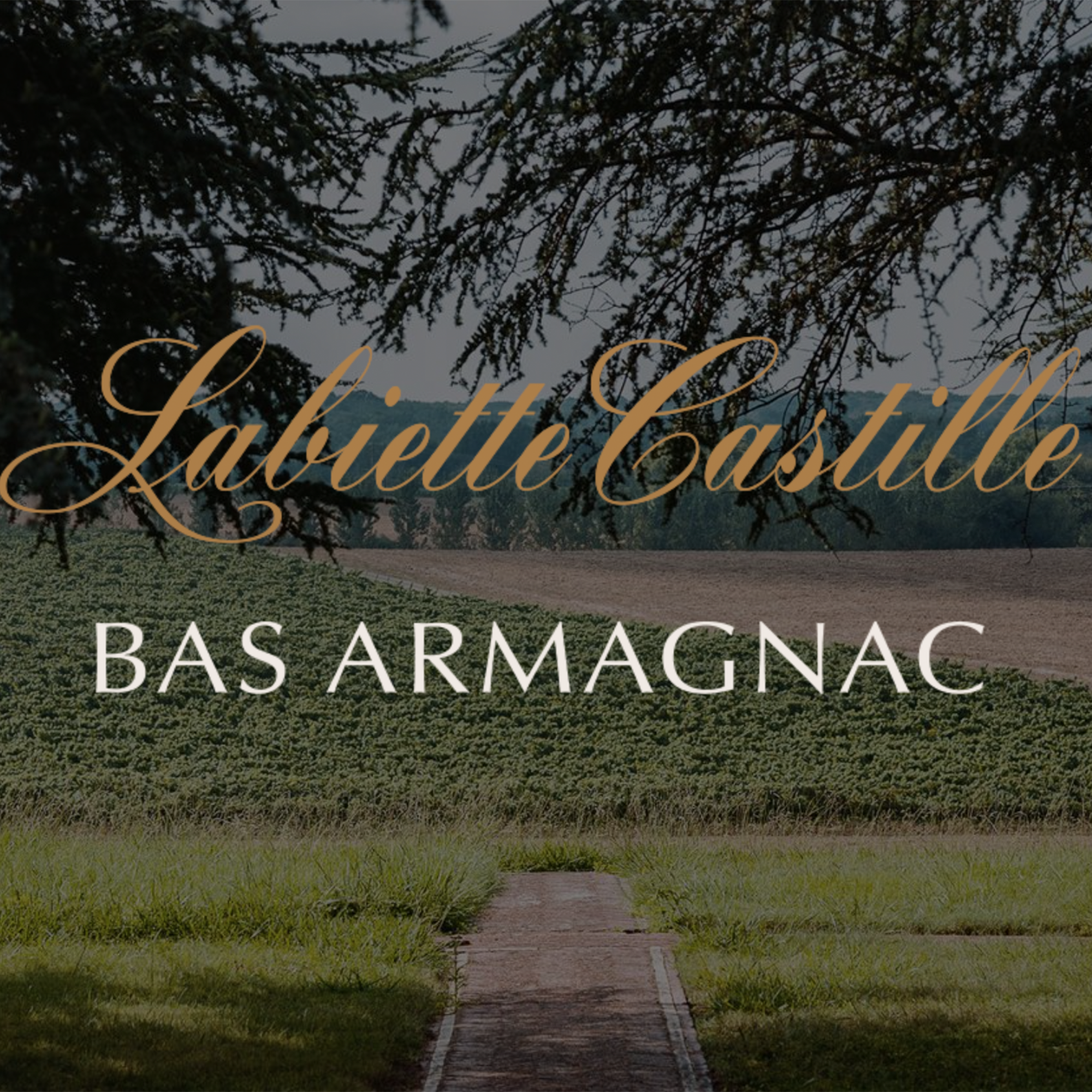 Labiette Castille VSOP Bas Armagnac
