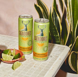 Cazadores Tequila Margarita Cocktail Ready-To-Drink 4-Pack Cans