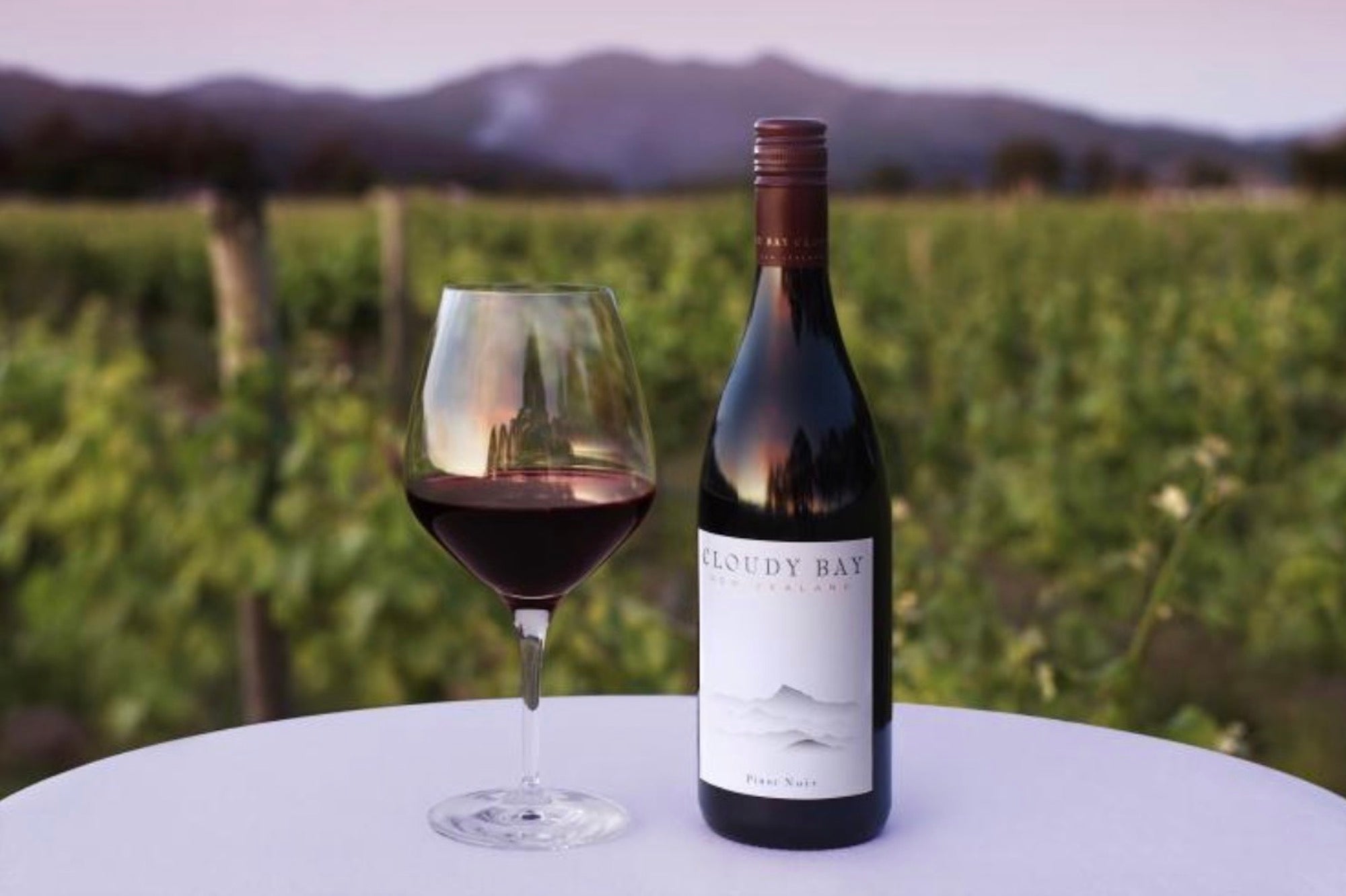 Cloudy Bay Pinot Noir, Red Wine