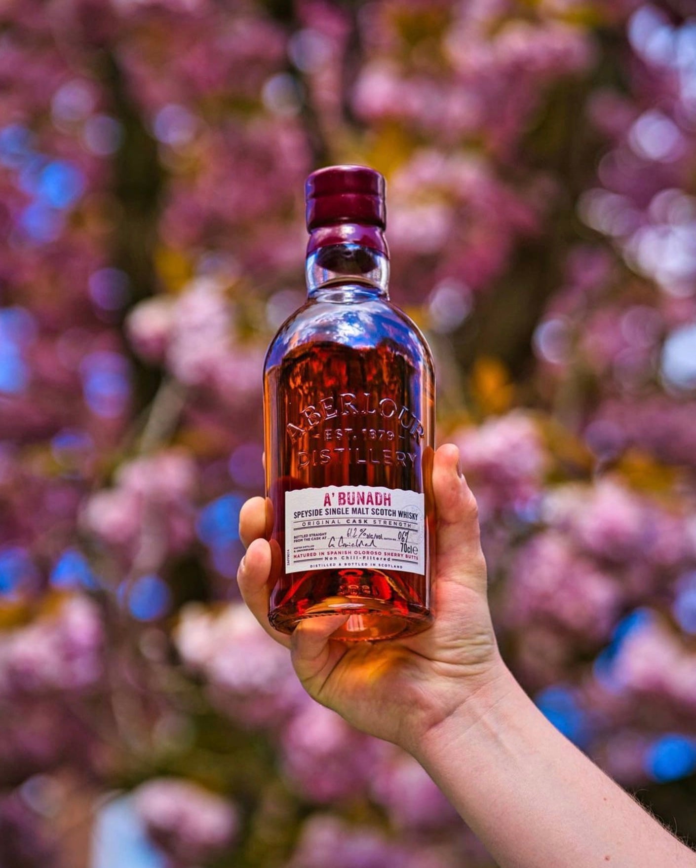Aberlour A'Bunadh Cask Strength Scotch