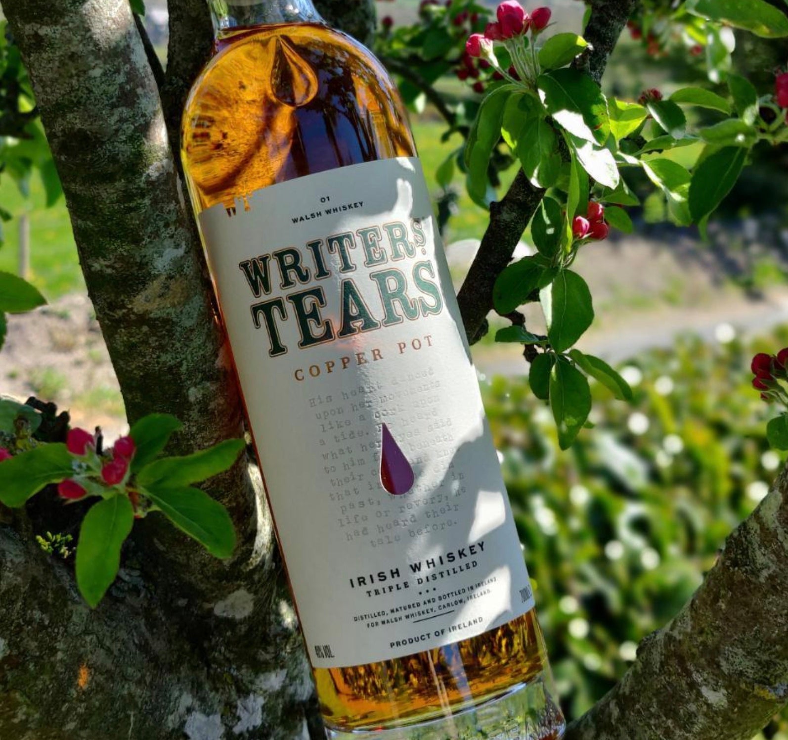 Writers' Tears Copper Pot Irish Whiskey 750ml
