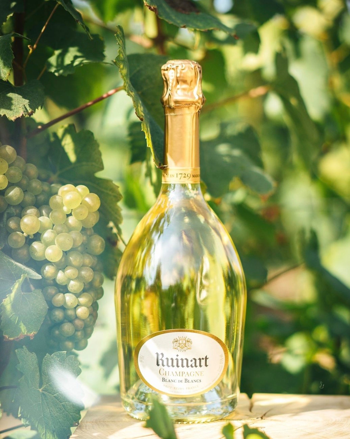 Ruinart Blanc de Blancs