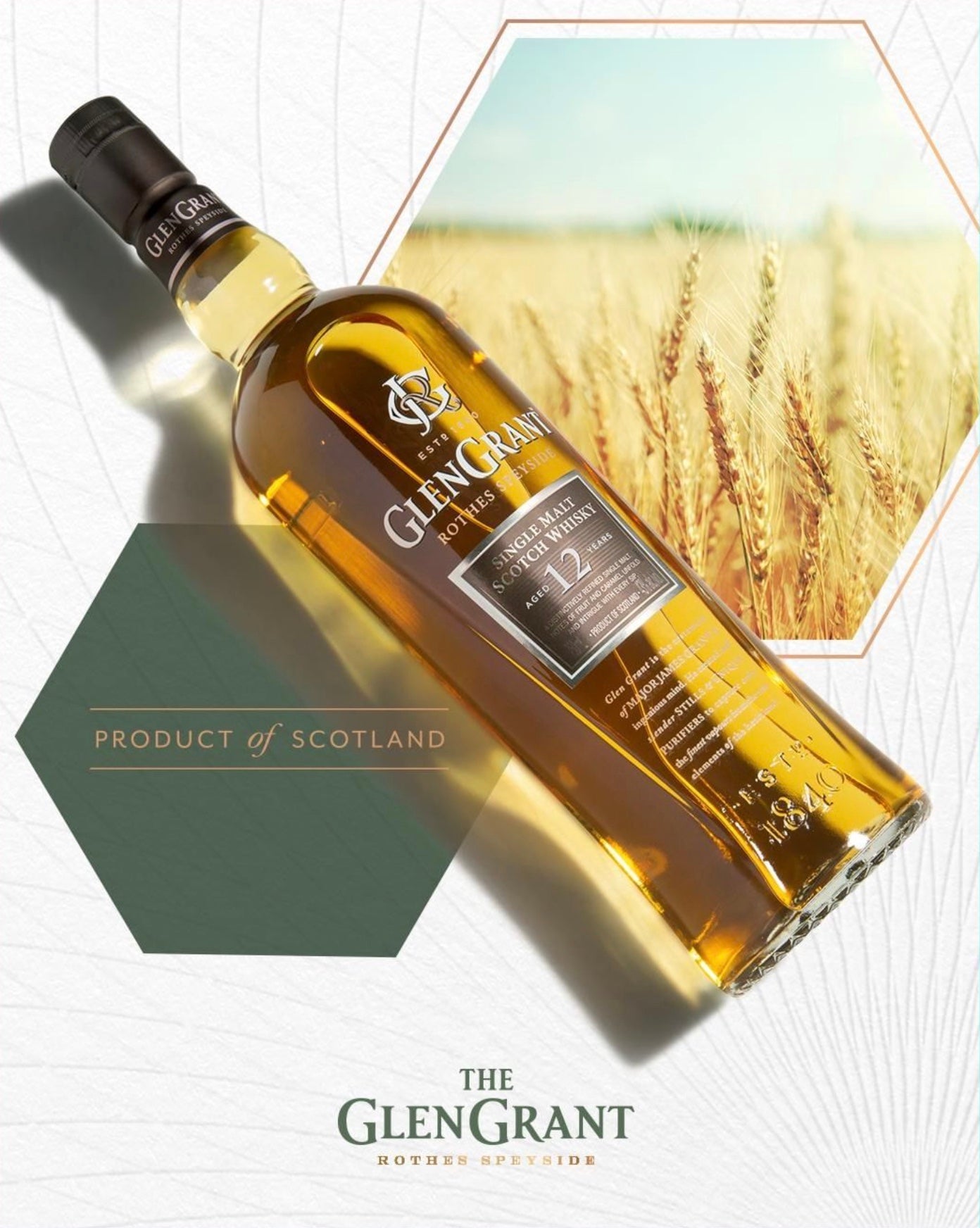 Glen Grant 12 Year Single Malt Scotch