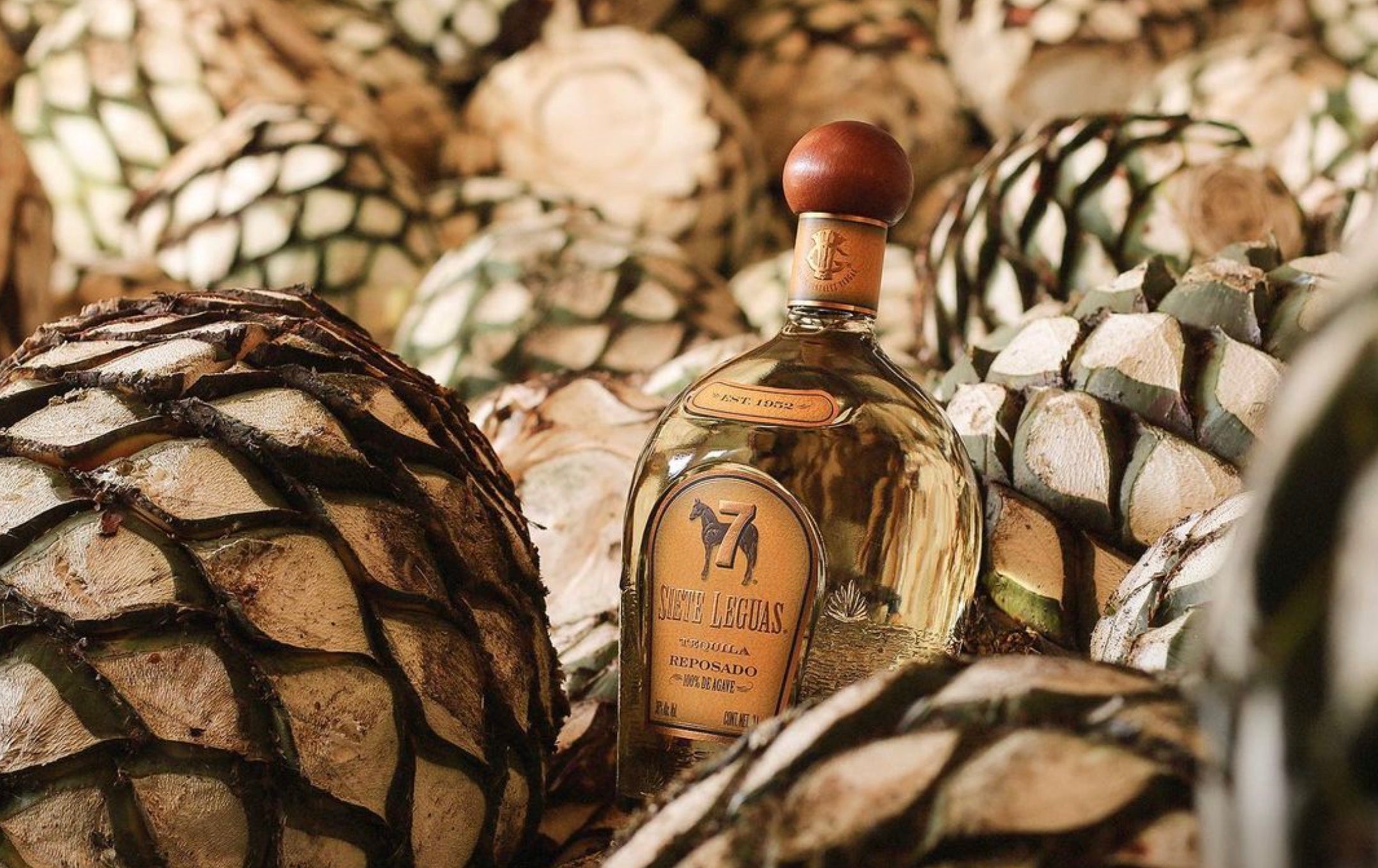 7 Siete Leguas Reposado Tequila