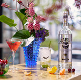 beluga vodka