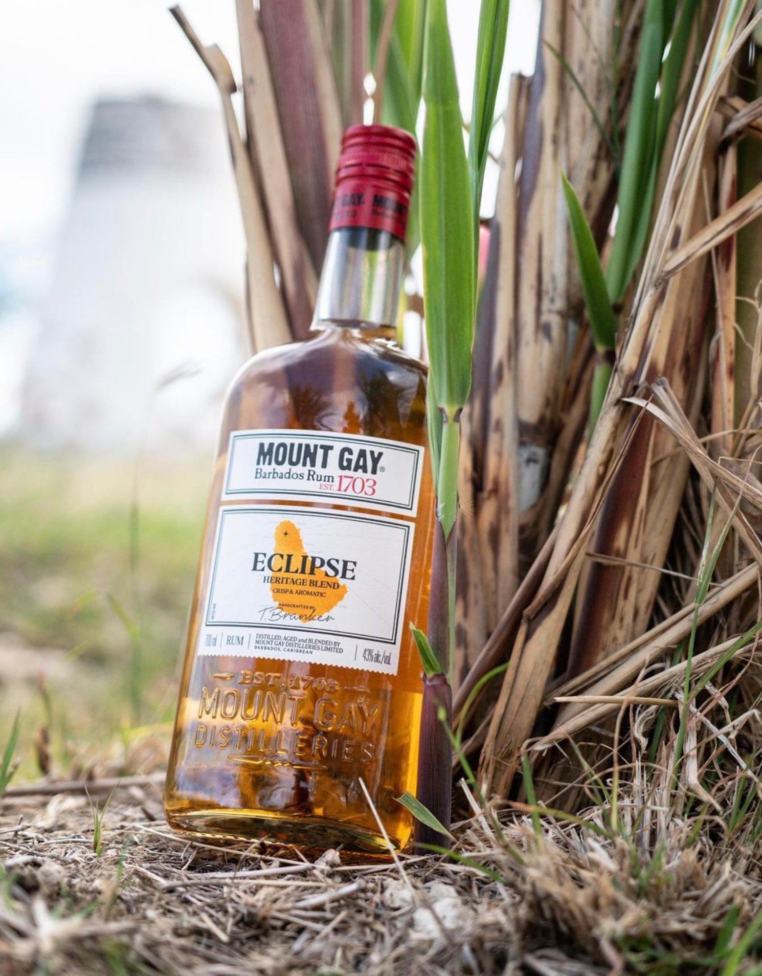 Mount Gay Rum Eclipse