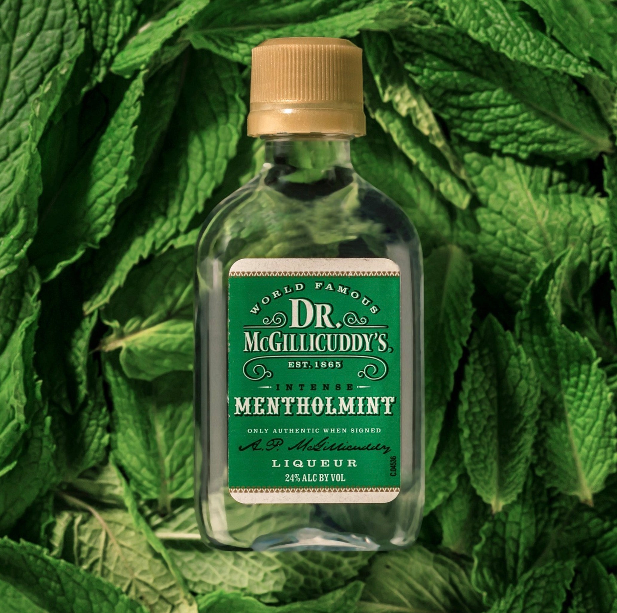 Dr. McGillicuddy's Menthol Mint 50mL (10 Pack Sleeve)