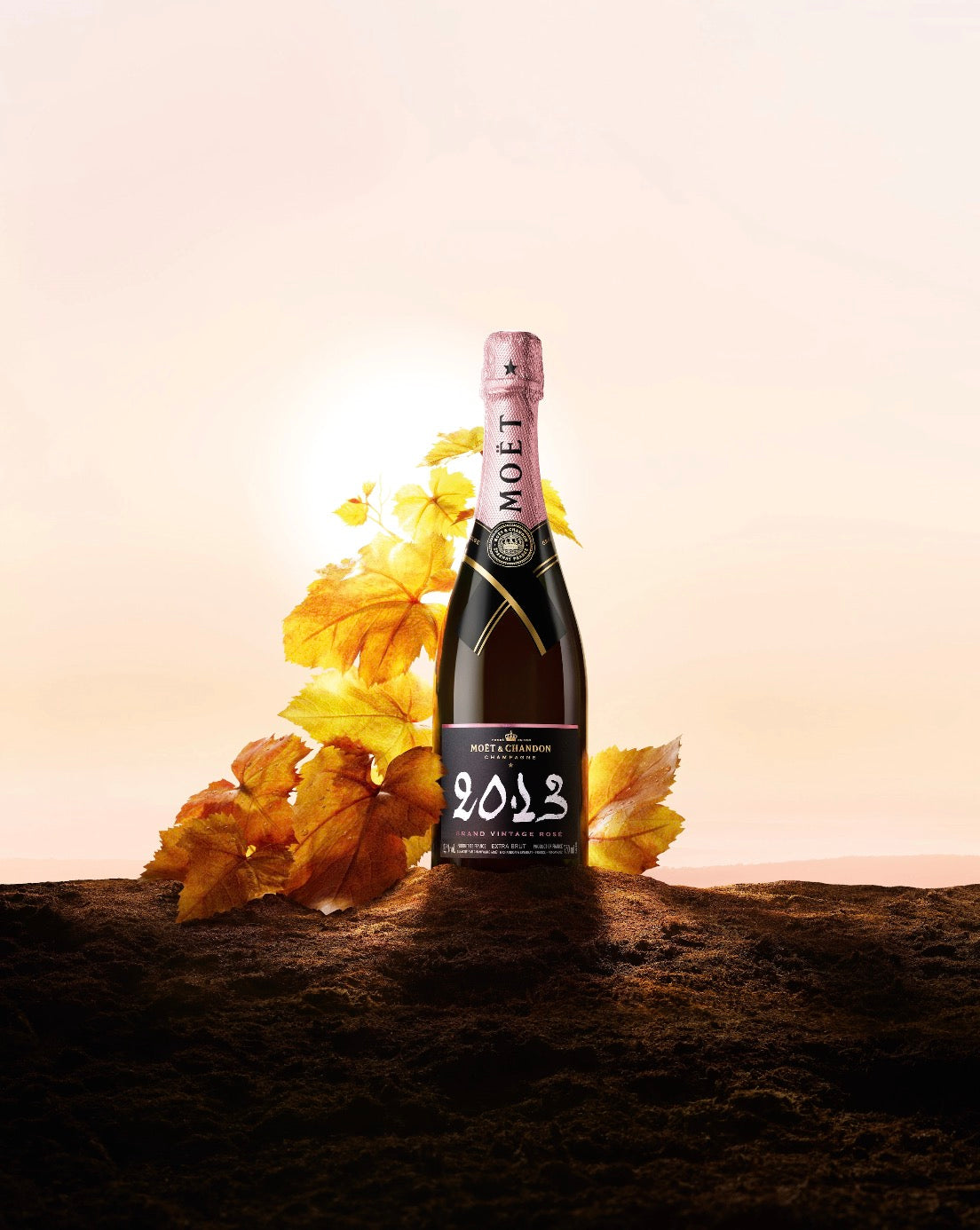 Moet & Chandon - Extra Brut Rose Champagne Grand Vintage 2013 - Varmax  Liquor Pantry