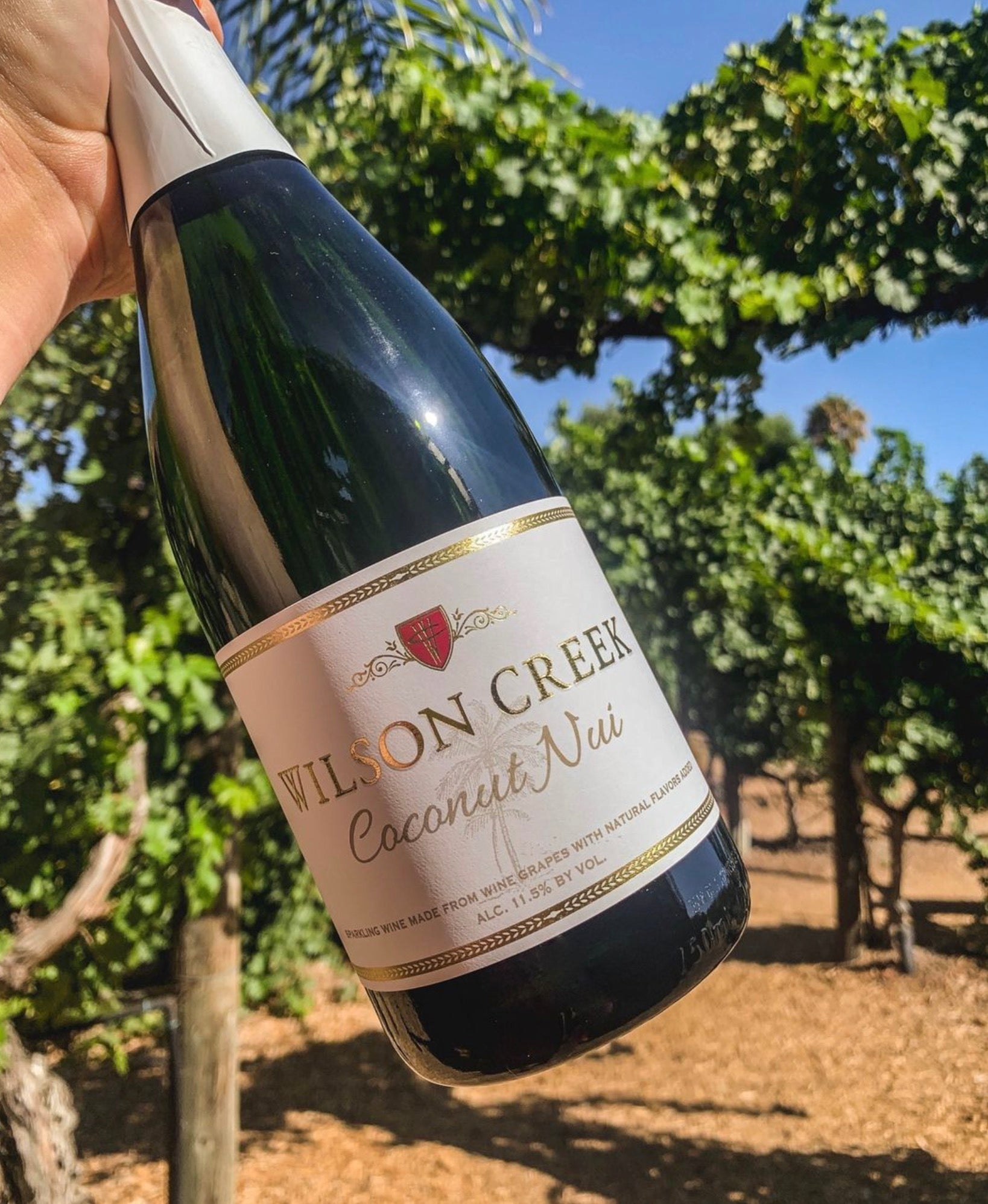 Wilson Creek Coconut Nui Sparkling Wine