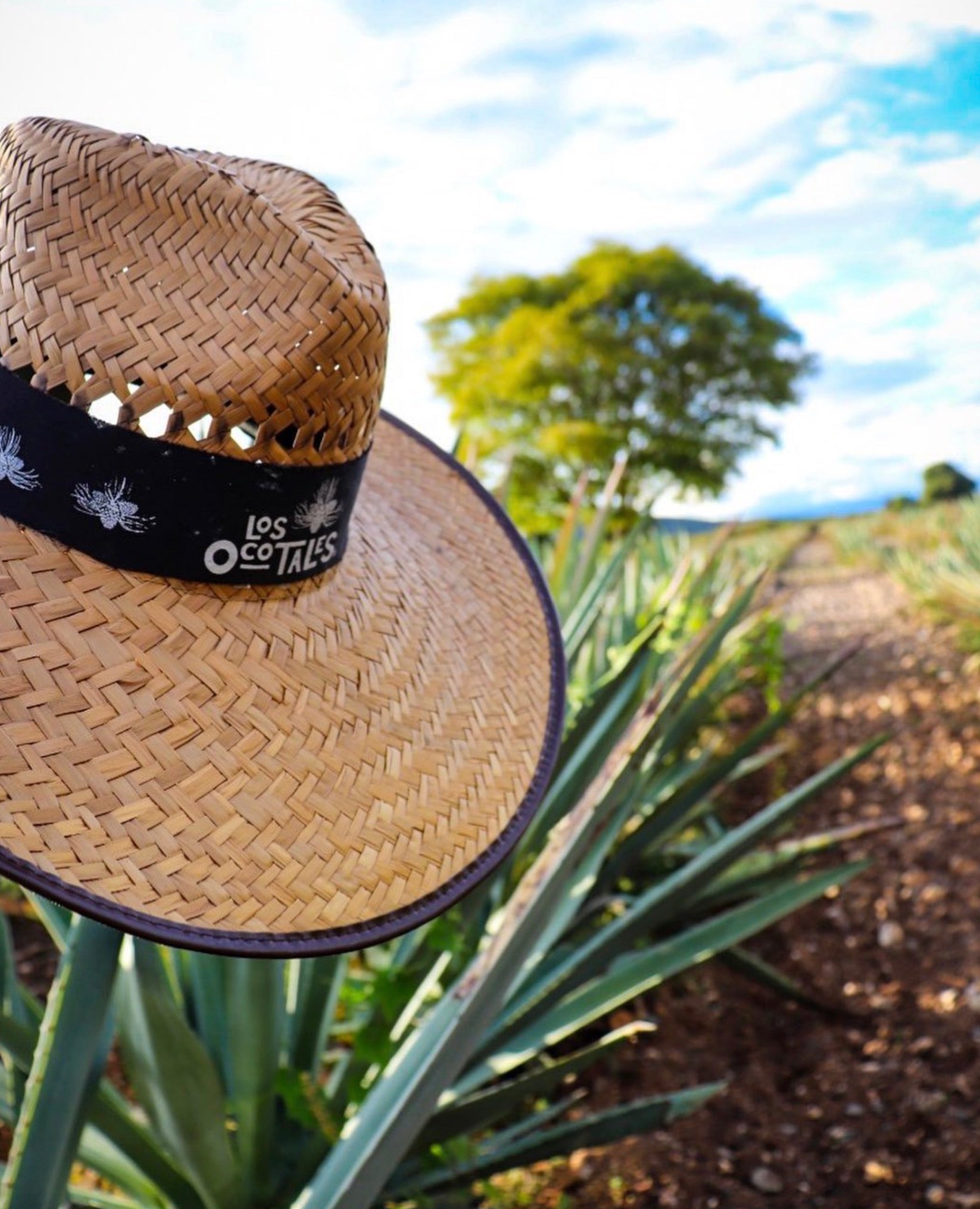 Los Ocotales Tobala Mezcal