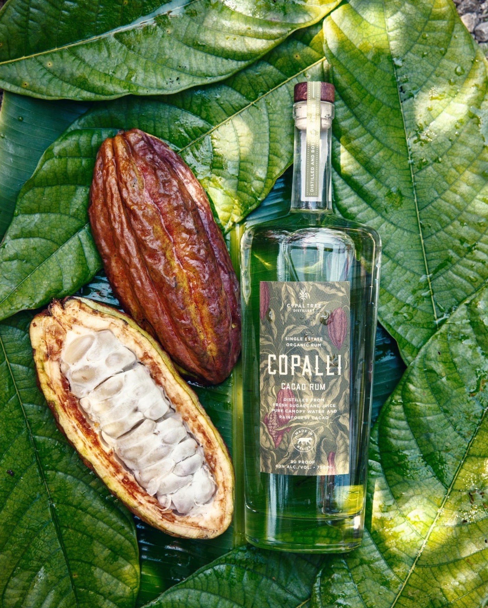 Copalli Cacao Belizean Rum