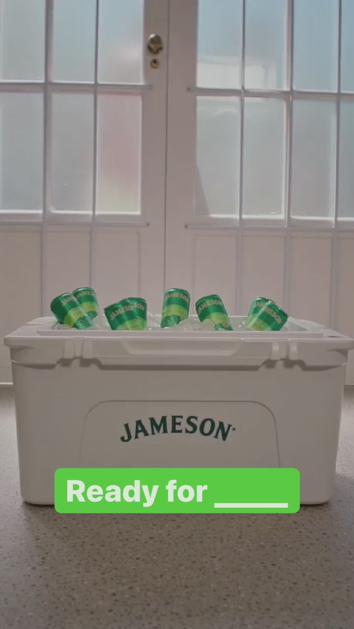 Jameson Ginger & Lime 4Pack Cans Top Shelf Wine and Spirits